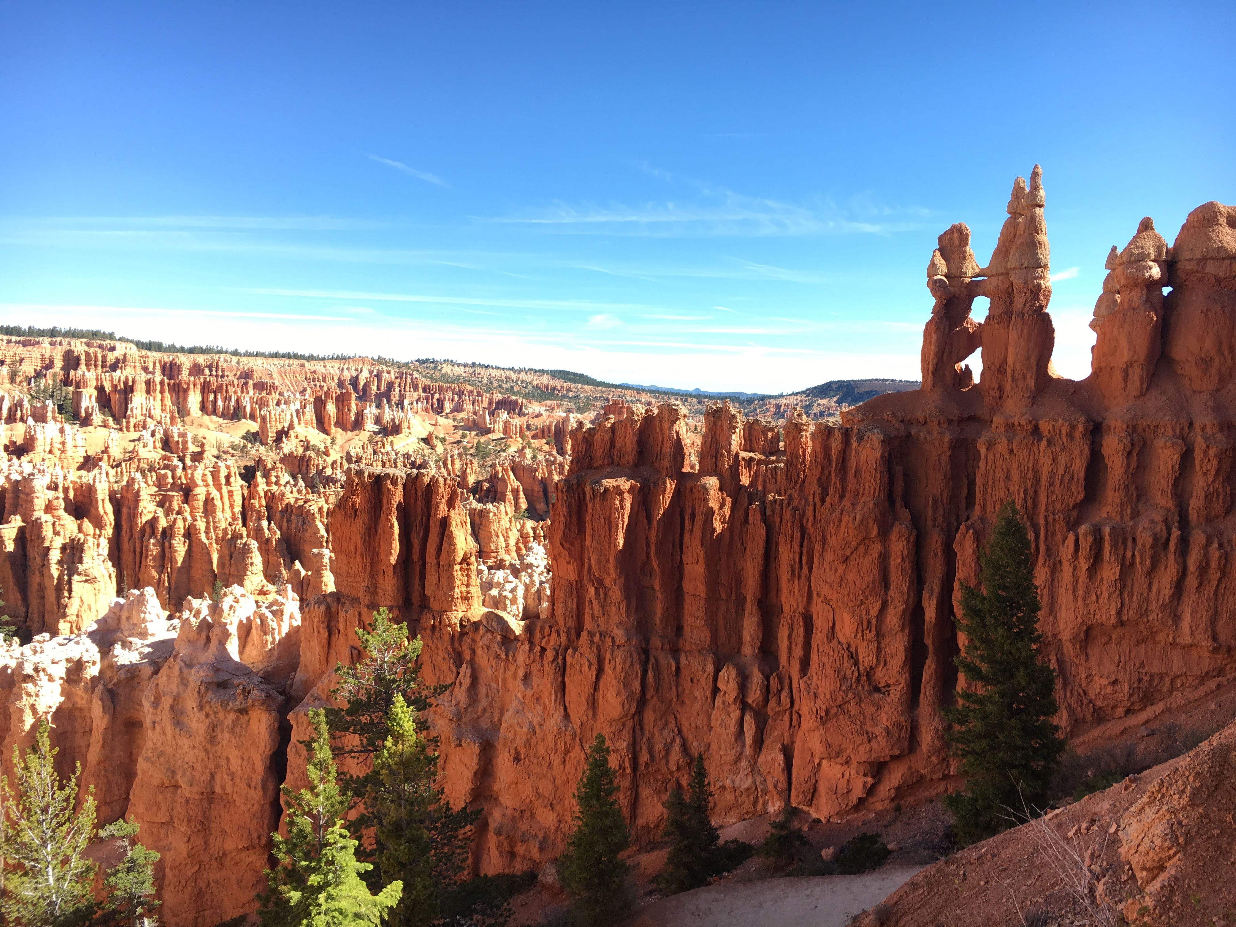 The alien-like hoodoo’s of Bryce Canyon