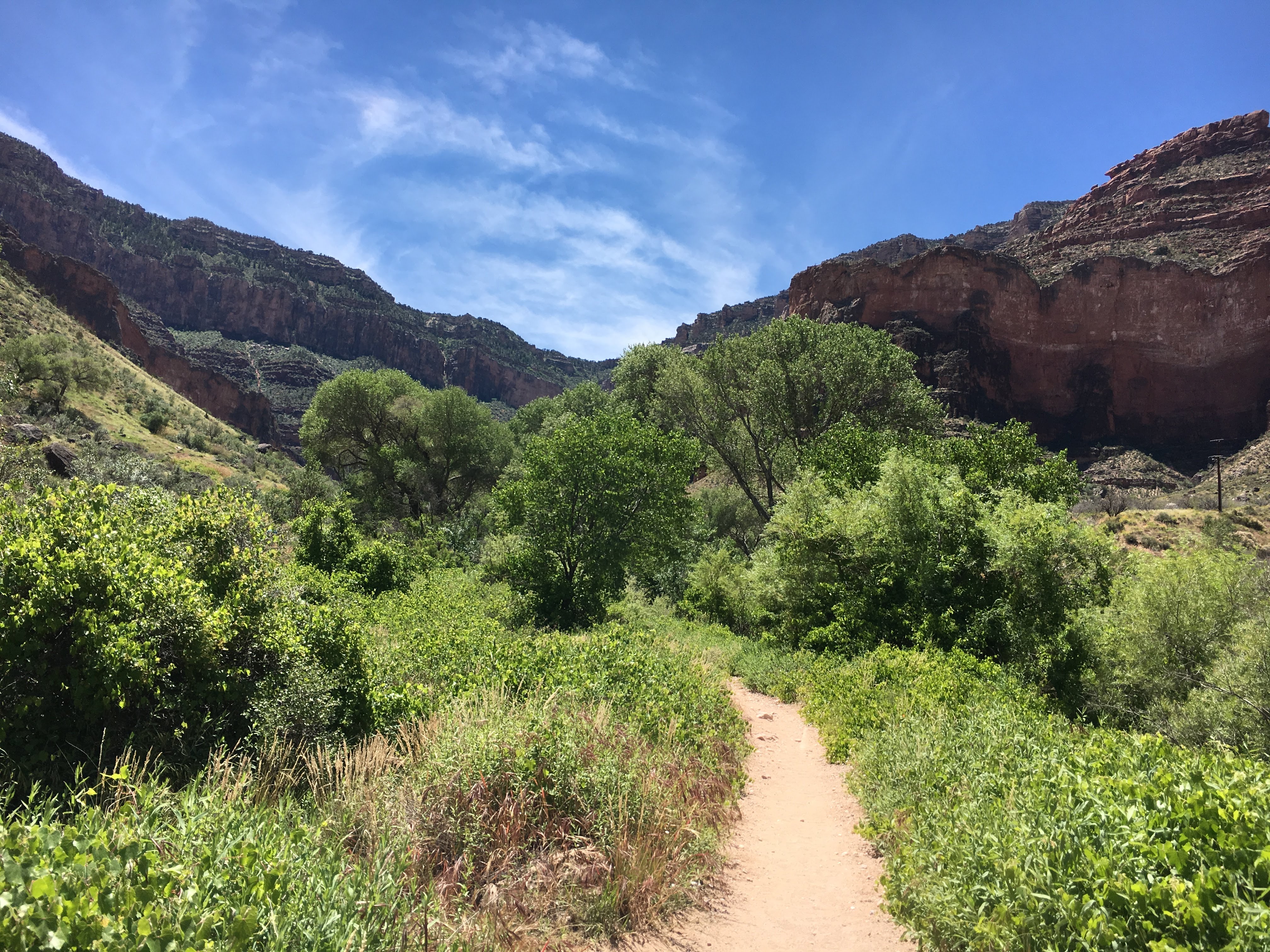 Entering the lush Indian Garden within the canyon