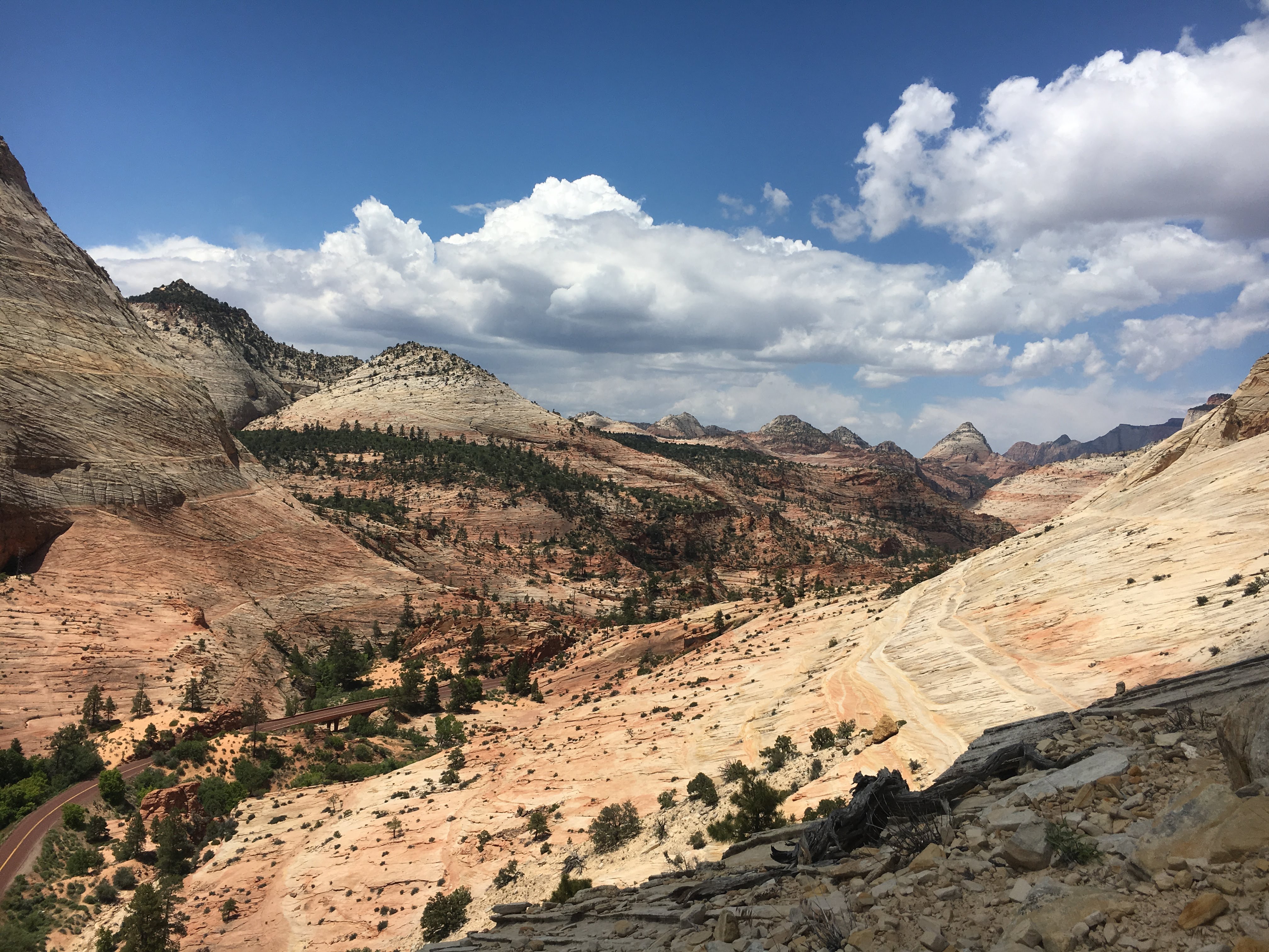 My first view of Zion, entering from the East entrance into the Checkerboard Mesa area