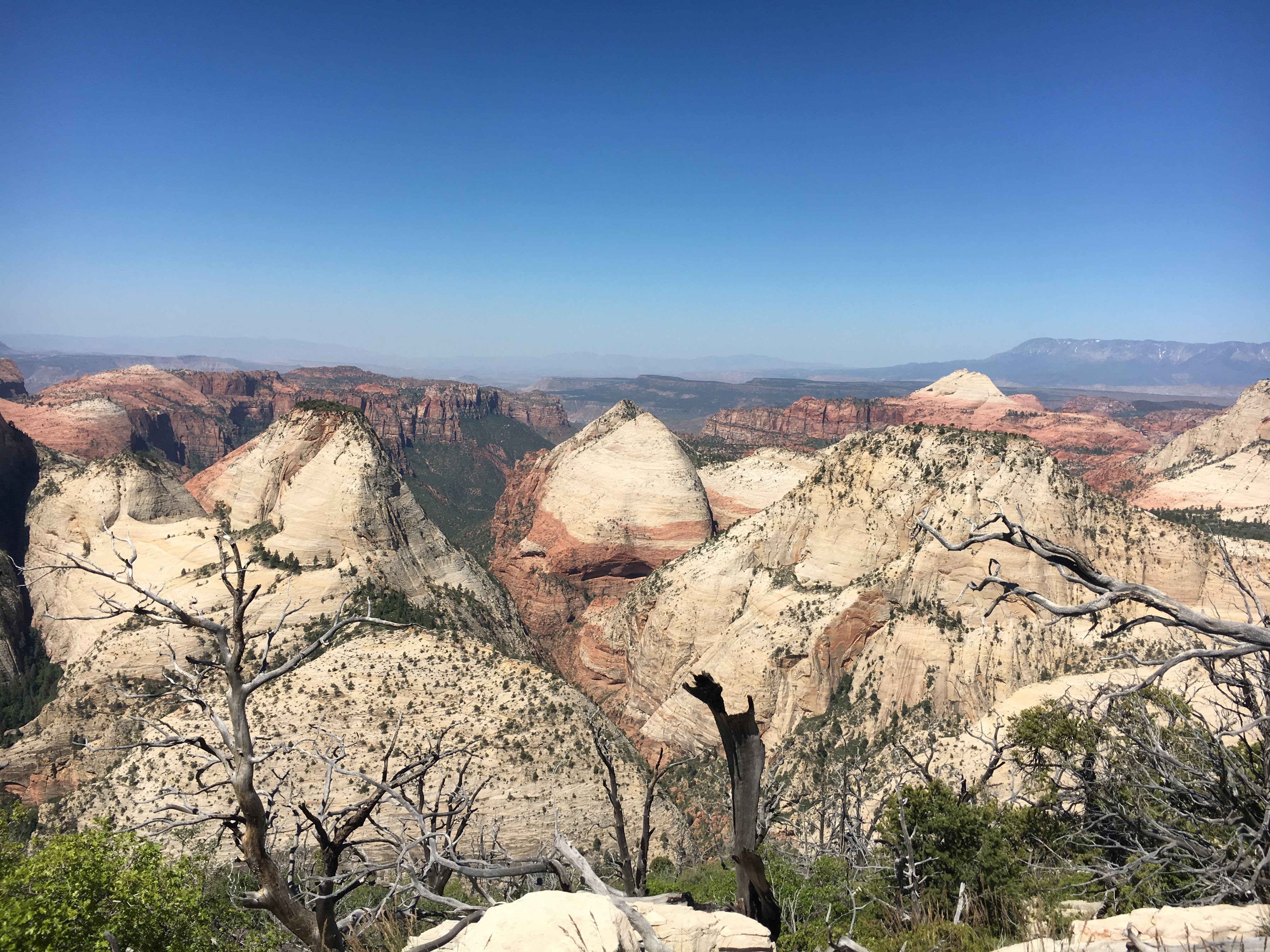 A view from the west rim in Zion