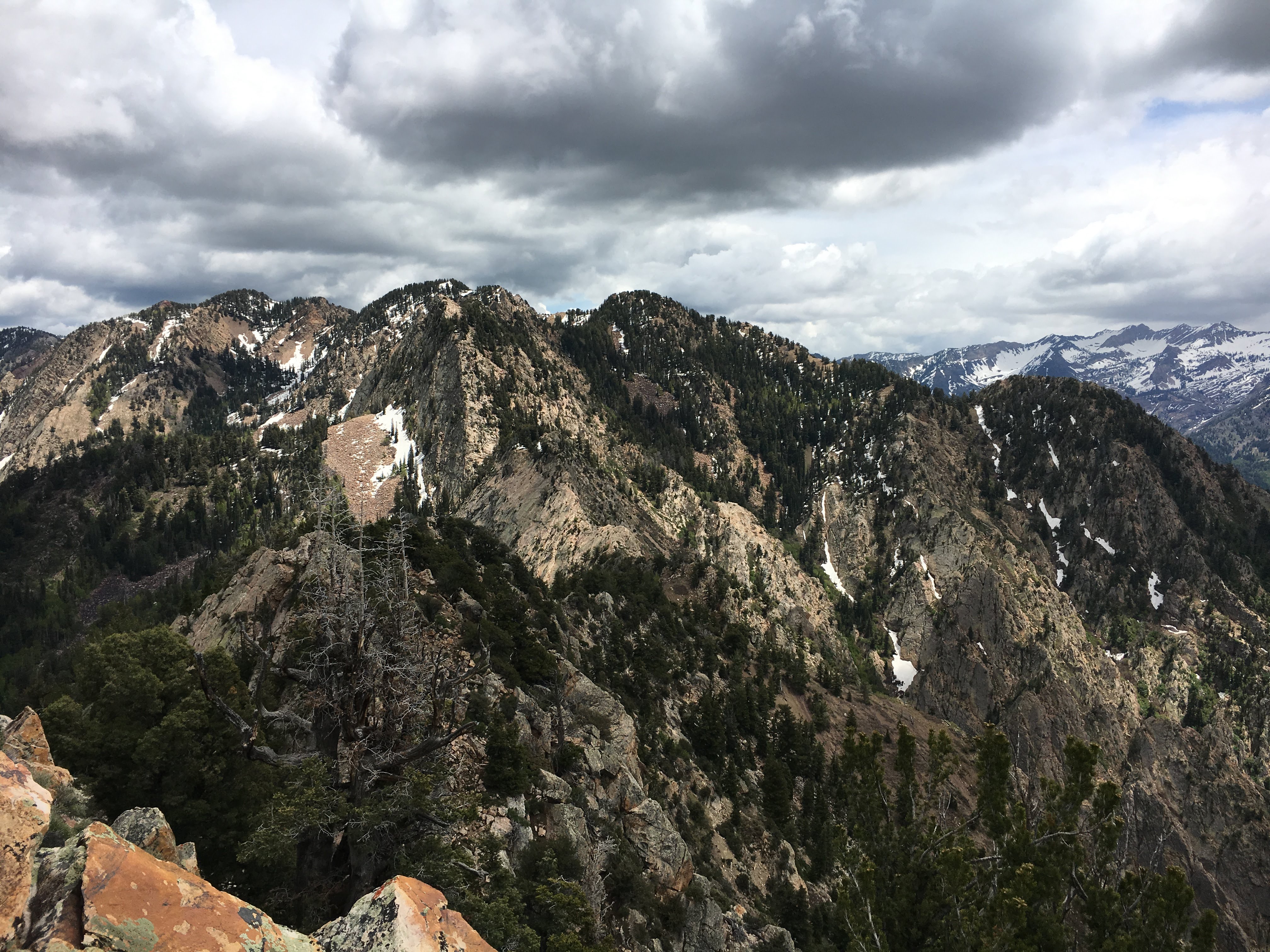 The view from Mount Olympus, just outside of the city